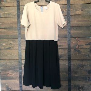LuLaRoe 3X Amelia Dress with Pockets